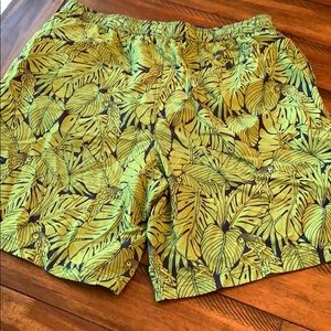 dillards nautica swimwear